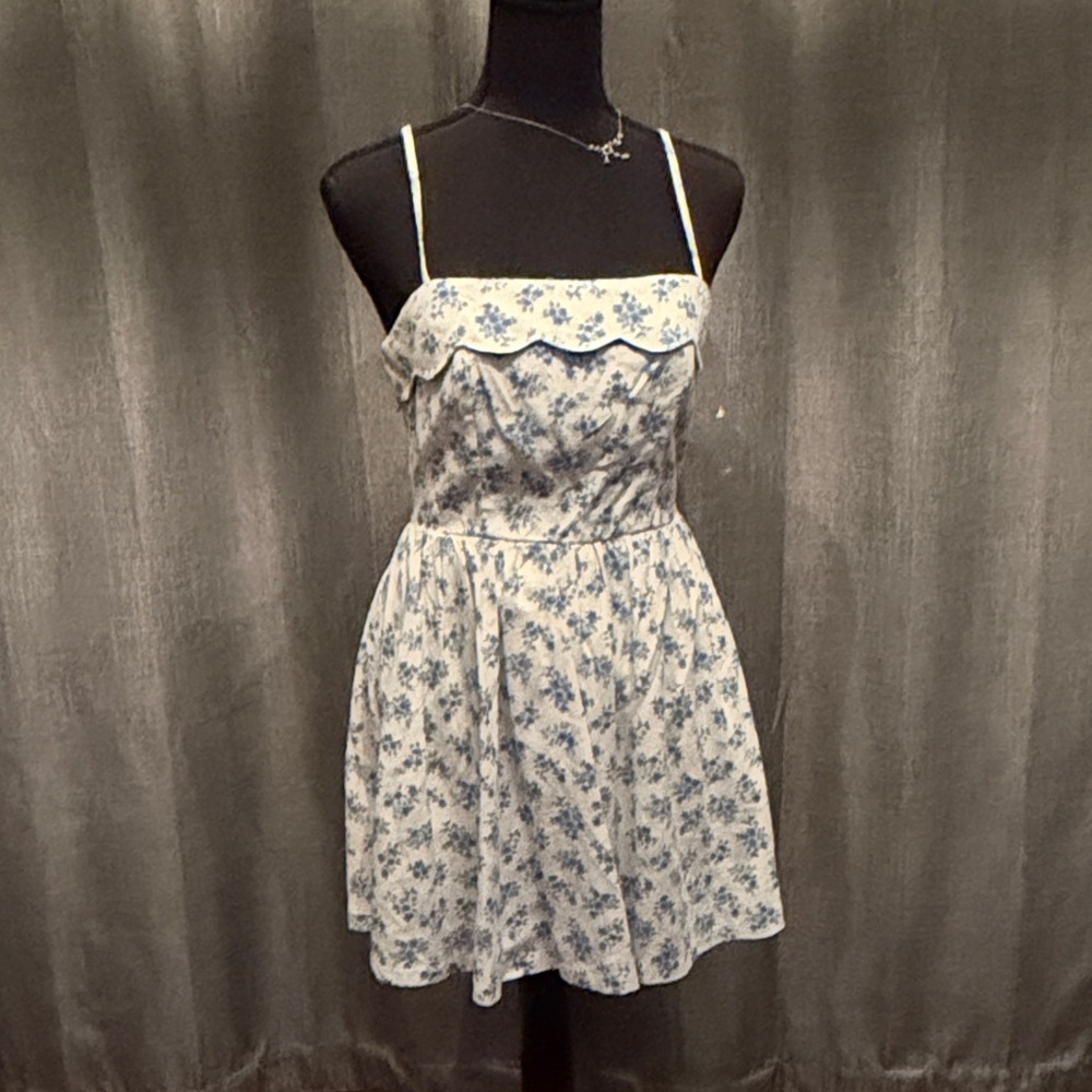 Trixxi White and Blue Floral Mini Dress